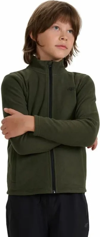 Pamja 1