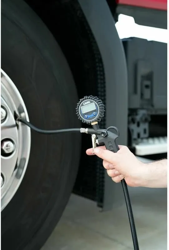 Pistolete Fryerje Gome Digital - 2