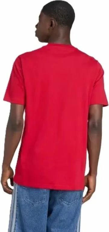 Pamja 6