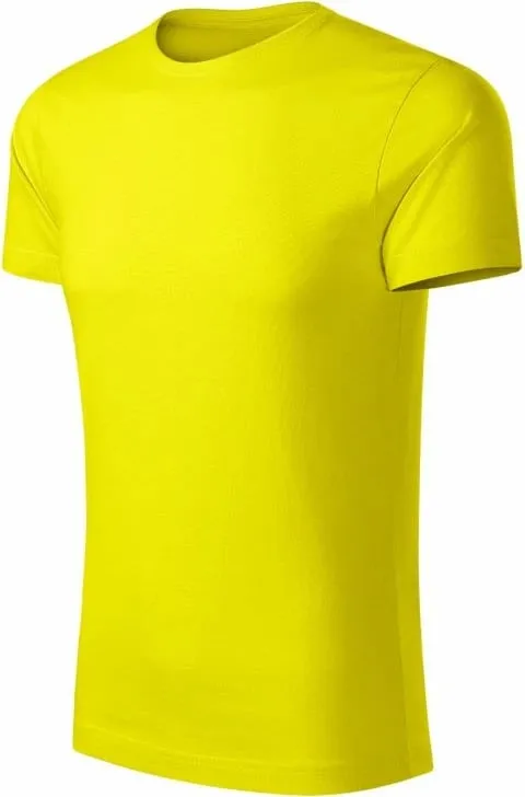 Pamja 1