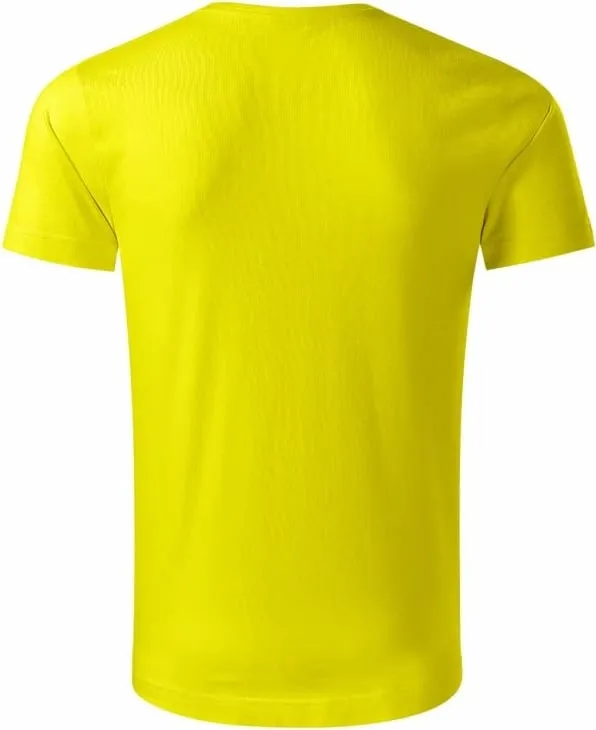 Pamja 3