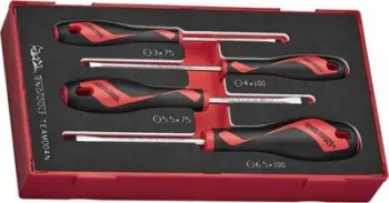 Set kaçavidash të drejta Teng Tools TEAMD04N, 4 copë, majë magnetike, me shkumë EVA