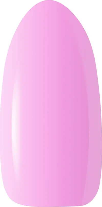 Pamja 3