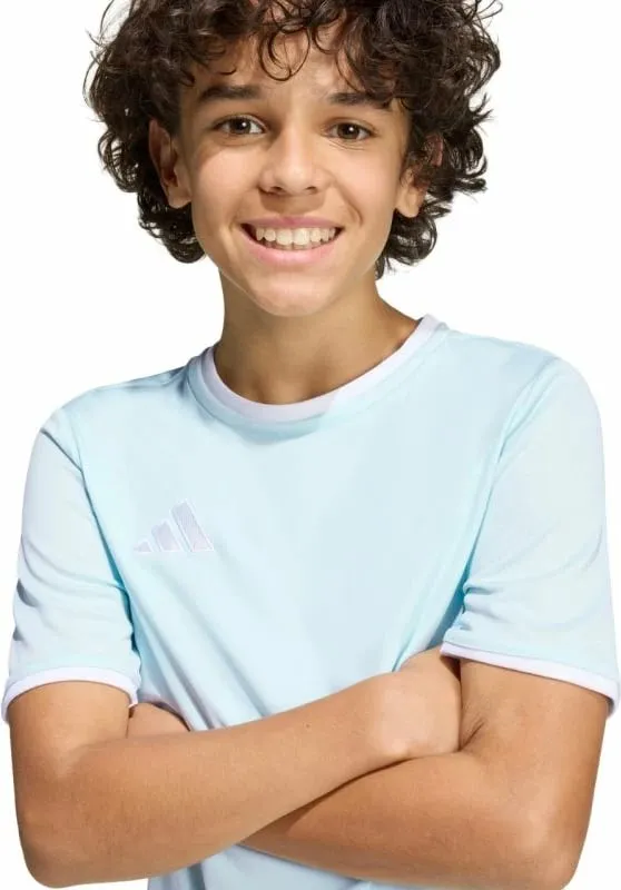 Pamja 6