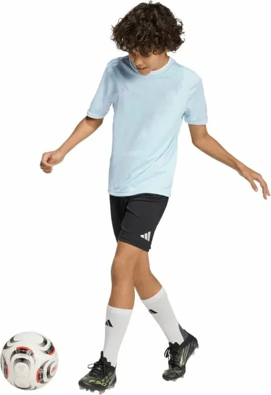 Pamja 8