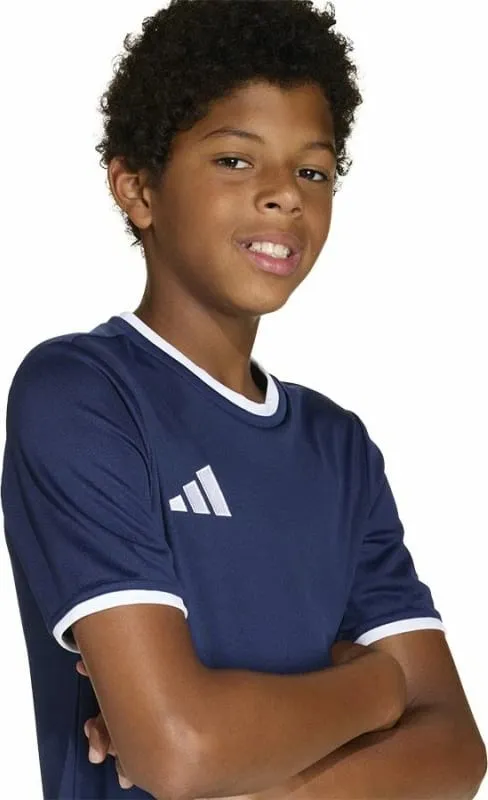 Pamja 3