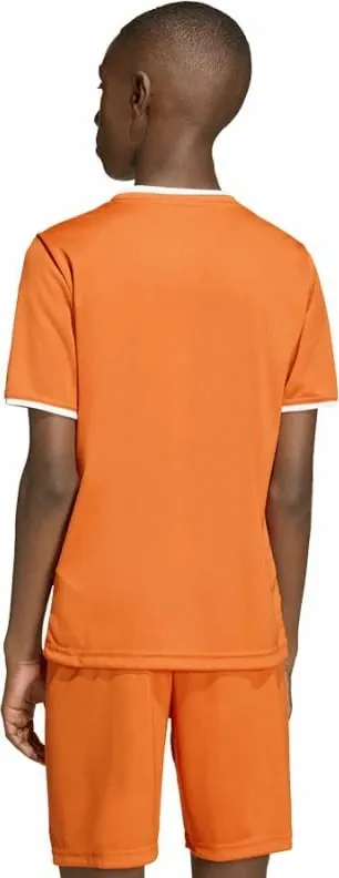 Pamja 3