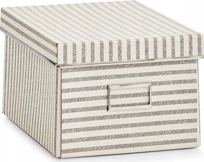 Kuti ruajtëse Zeller Stripes, karton, bezhë - 1
