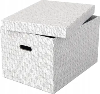 Kuti ruajtjeje Esselte Home Storage Box Large 3 copë, karton, e bardhë