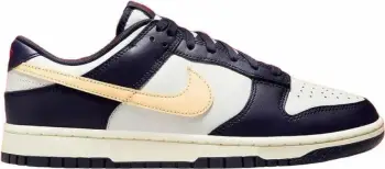 Atlete për meshkuj Nike Dunk Low Retro