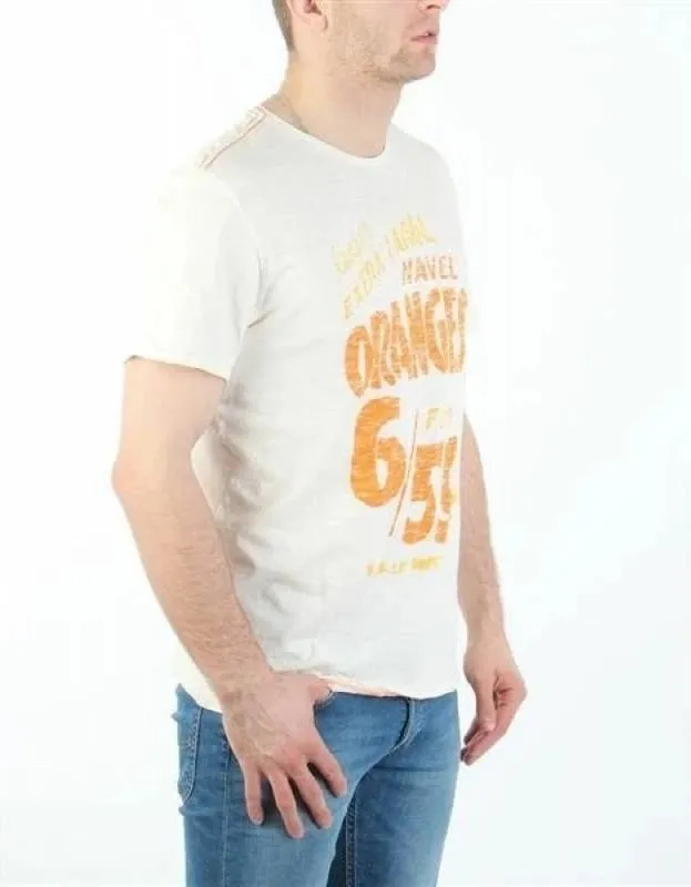 Pamja 6