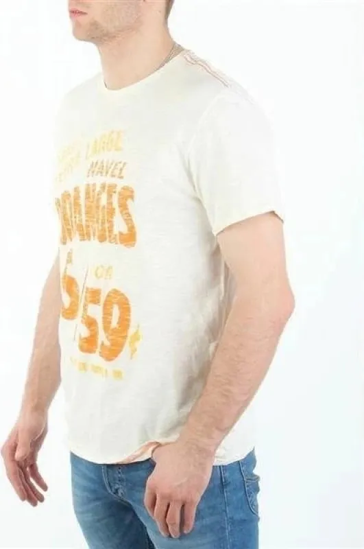 Pamja 8