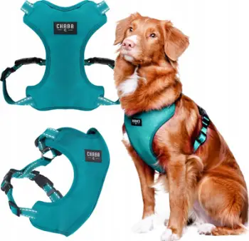Qafore për qen Chaba Guard Comfort Air, reflektuese, madhësia XL, turkeze