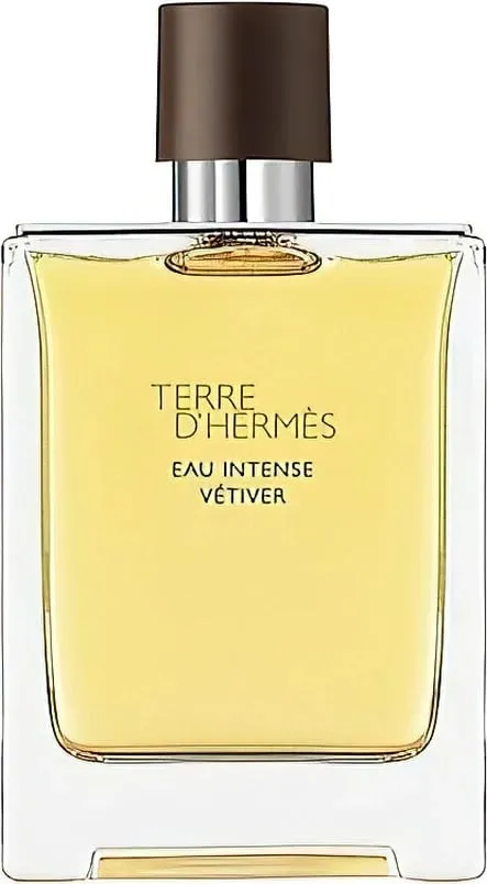 Eau de Parfum për meshkuj Hermes Terre D'Hermes Eau Intense Vetiver 200ml - 1