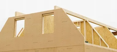 Pamja 4
