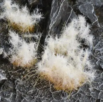 Tufa bari dekorativ Gamers Grass Special Tufts, 12 mm, Spikey Winter Wild