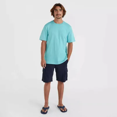 Pamja 5