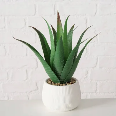 Bimë artificiale aloe Boltze MONDRAGO, 29 cm, me vazo, jeshile - 2