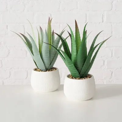 Bimë artificiale aloe Boltze MONDRAGO, 29 cm, me vazo, jeshile - 5