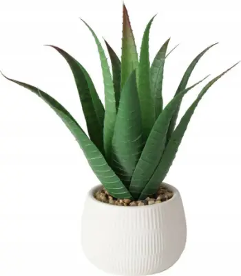 Bimë artificiale aloe Boltze MONDRAGO, 29 cm, me vazo, jeshile
