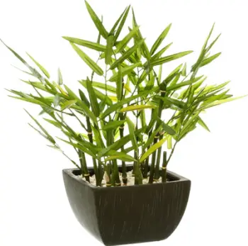 Bimë artificiale Atmosphera Bamboo, 35 cm, me vazo qeramike, jeshile