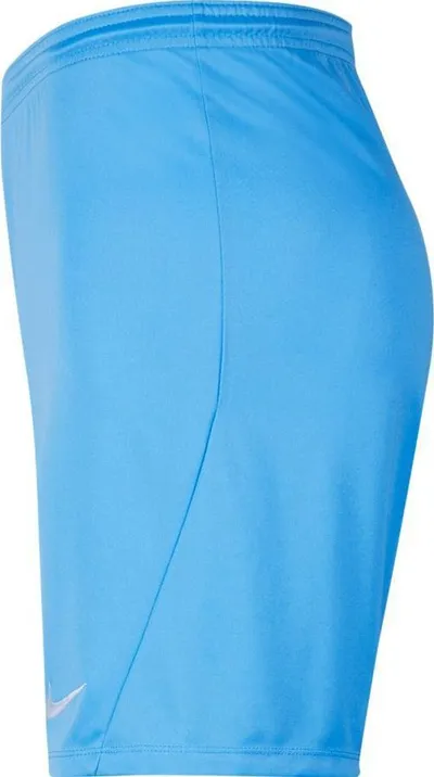 Pamja 3