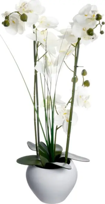 Bimë artificiale Atmosphera Orchid, me vazo qeramike, 53 cm, e bardhë