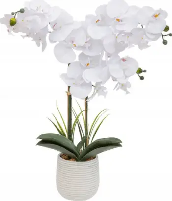 Bimë artificiale Atmosphera Orchid, 65 cm, vazo qeramike, e bardhë