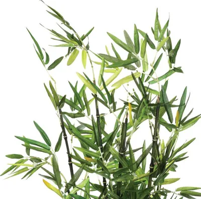 Bimë artificiale Atmosphera Bamboo, 70 cm, me vazo, jeshile - 4