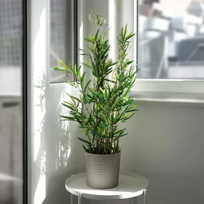 Bimë artificiale dekorative bambu, 97 cm, me vazo, e zezë - 2