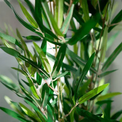 Bimë artificiale dekorative bambu, 97 cm, me vazo, e zezë - 3