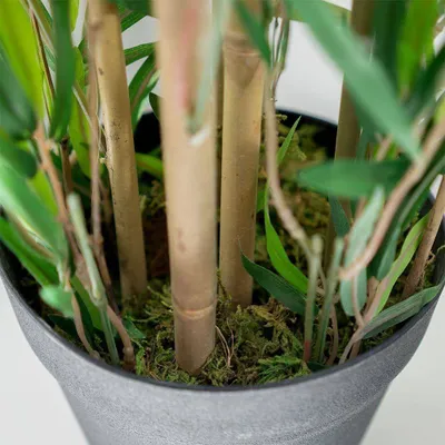 Bimë artificiale dekorative bambu, 97 cm, me vazo, e zezë - 5