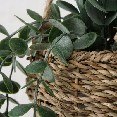 Bimë artificiale dekorative Boltze Home, eukalipt në vazo, 78cm, jeshile - 2