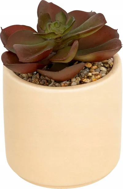 Dekor bimë artificiale NILS në vazo qeramike, 12 cm, jeshile - 1