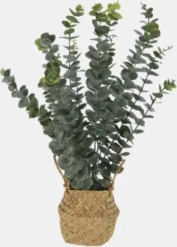 Bimë artificiale eukalipti Diempi me shportë, 22x50 cm, polipropilen, jeshile