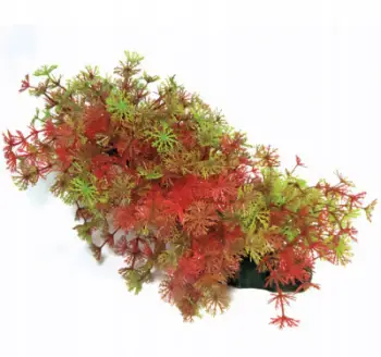 Bimë artificiale për akuarium Aqua Natura, plastike, 23cm, jeshile e kuqe