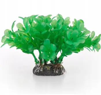 Bimë artificiale për akuarium Aqua Natura Water Fern, 10 cm, plastike, e gjelbër
