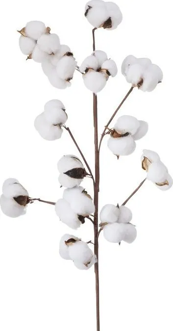 Degë dekorative BOLTZE Cotton, pambuk artificial, e bardhë - 1