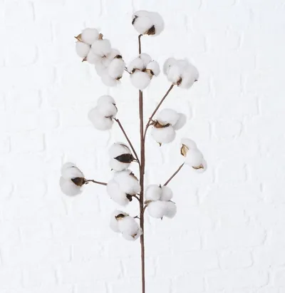 Degë dekorative BOLTZE Cotton, pambuk artificial, e bardhë - 4