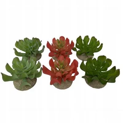 Bimë artificiale për terrarium Terra Della Echeveria, dekorative, jeshile - 1