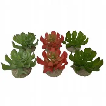 Bimë artificiale për terrarium Terra Della Echeveria, dekorative, jeshile