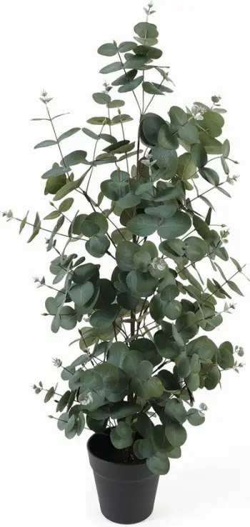 Bimë artificiale Present Time Kunstplant Eucalyptus Leaf Large, 30x30x78cm, e gjelbër