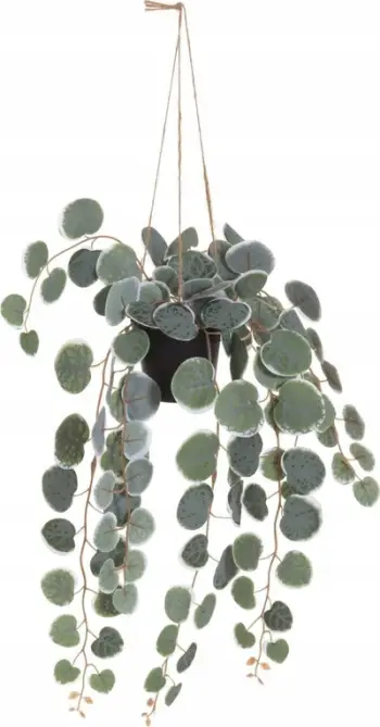 Bimë artificiale varëse 4Living Ceropegia, 40 cm, jeshile