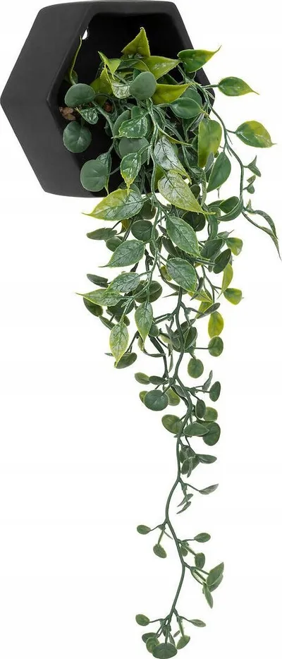Bimë artificiale varëse Atmosphera Ayame, vazo 14cm, e zezë - 1