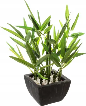 Bimë dekorative artificiale bambu Emako, 26 cm, vazo e zezë