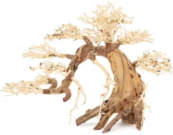 Dekor akuariumi TerraNatura Sinking Bonsai Tree Nr. 13, 70x50 cm, kafe natyrale