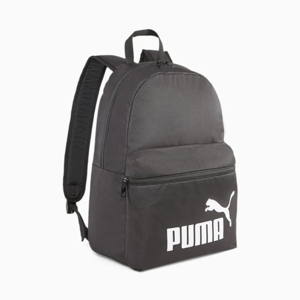 Pamja 2
