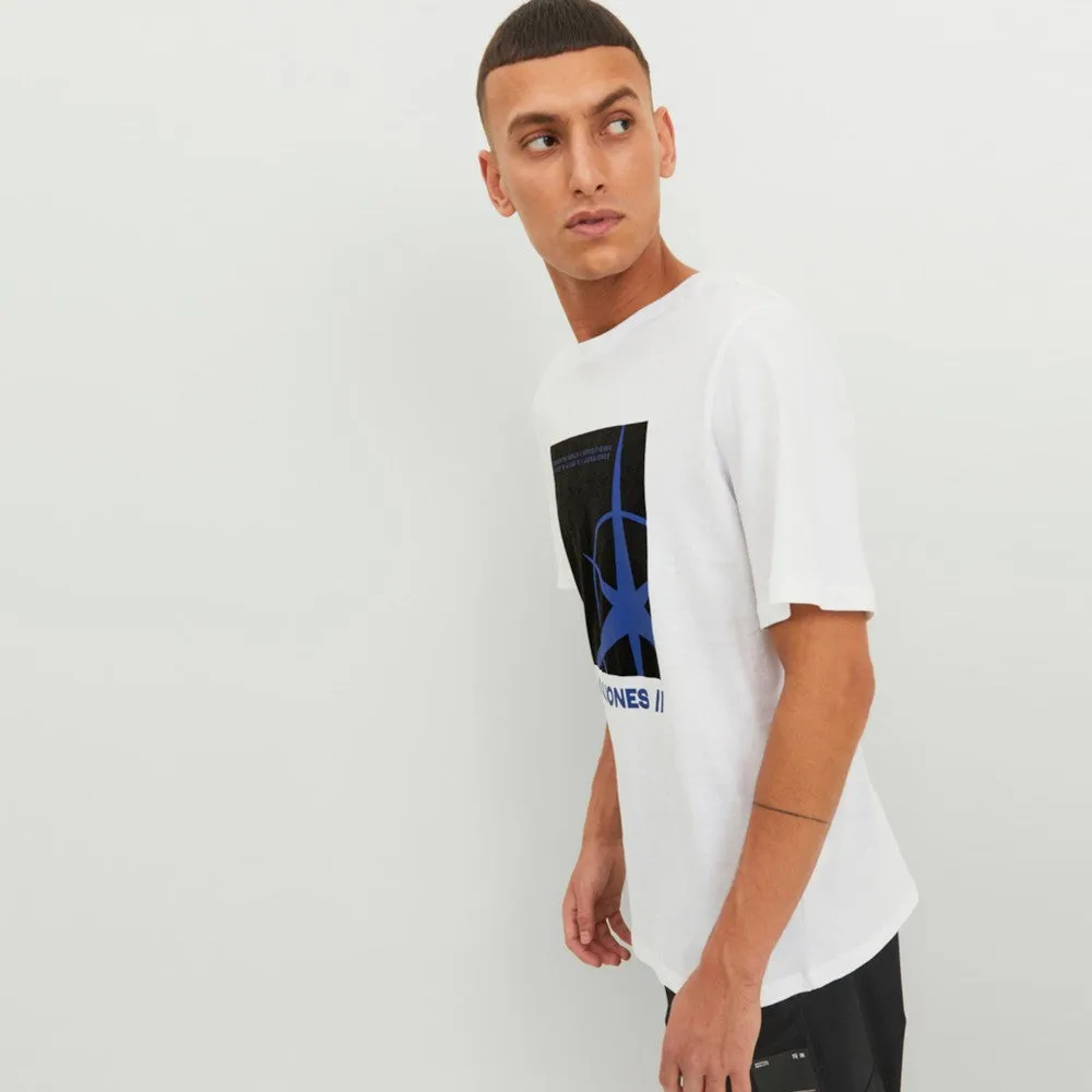 Pamja 11