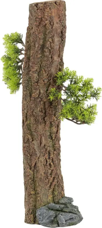 Dekor akuariumi Zolux Forest XXL, rrëshirë, madhësi shumë e madhe, shumëngjyrësh