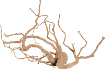 Dekor akuariumi Zolux Japanese Root Spider Wood Jumbo, dru natyral, madhësi e madhe, kafe natyrale